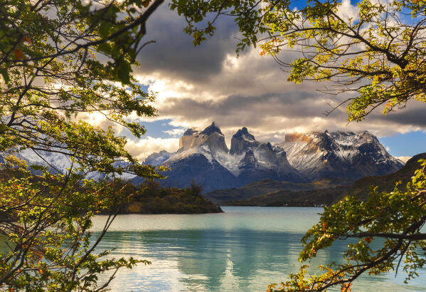 Cuernos del Paine framed in trees and Lake Pehoe during sunset, Torres del Paine NP, Ultima Esperanza, Region de Magallanes y de la Antartica Chilena, Patagonia, Chile, South America
