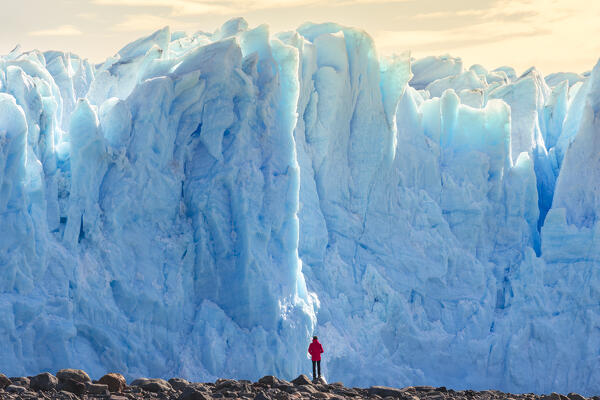 A tourist observes the massive Glacier front of Perito Moreno, El Calafate, Parque Nacional Los Glaciares, Santa Cruz, Patagonia Argentina, Argentina, South America
