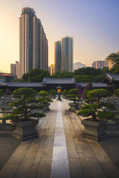 Chi Lin Nunnery during sunset, Diamond Hill, Kowloon, Hong Kong island, Hong Kong, China, Asia