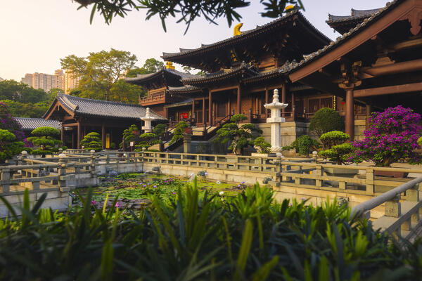 Chi Lin Nunnery during sunset, Diamond Hill, Kowloon, Hong Kong island, Hong Kong, China, Asia