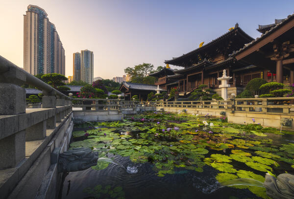 Chi Lin Nunnery during sunset, Diamond Hill, Kowloon, Hong Kong island, Hong Kong, China, Asia