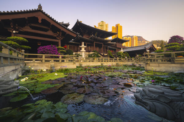 Chi Lin Nunnery during sunset, Diamond Hill, Kowloon, Hong Kong island, Hong Kong, China, Asia