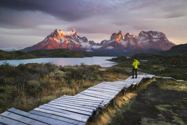 A tourist observes Lake Pehoe and Cuernos del Paine in the background during sunrise, Torres del Paine NP, Ultima Esperanza, Region de Magallanes y de la Antartica Chilena, Patagonia, Chile, South America