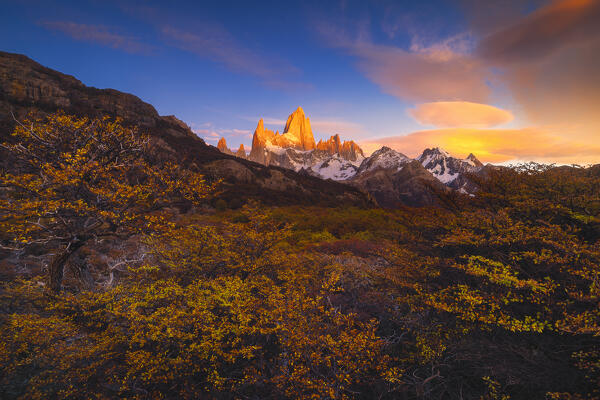Autumn trees and Fitz Roy mountain in the background during sunrise, El Chalten, Parque Nacional Los Glaciares, Santa Cruz, Patagonia Argentina, Argentina, South America
