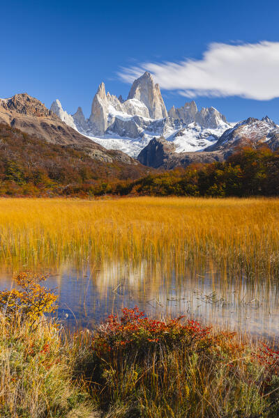 Fitz Roy mountain and reflections in a pond, El Chalten, Parque Nacional Los Glaciares, Santa Cruz, Patagonia Argentina, Argentina, South America