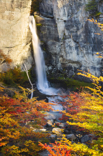 Chorrillo del Salto waterfall framed by autumn trees, El Chalten, Parque Nacional Los Glaciares, Santa Cruz, Patagonia Argentina, Argentina, South America