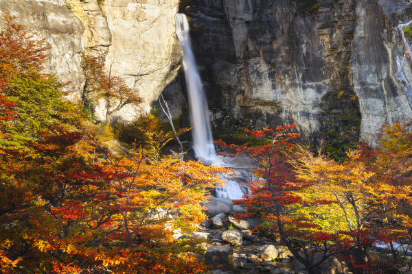 Chorrillo del Salto waterfall framed by autumn trees, El Chalten, Parque Nacional Los Glaciares, Santa Cruz, Patagonia Argentina, Argentina, South America