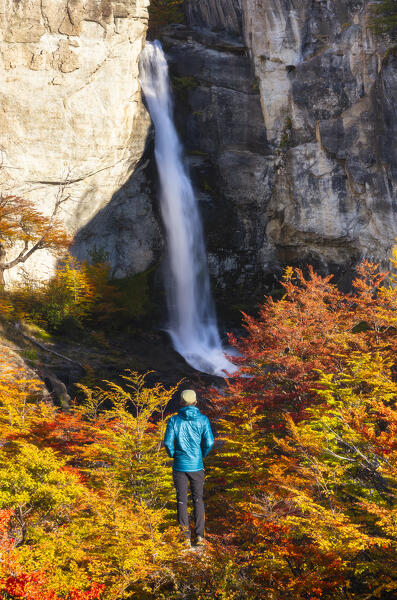 A tourist observes Chorrillo del Salto waterfall framed by autumn trees, El Chalten, Parque Nacional Los Glaciares, Santa Cruz, Patagonia Argentina, Argentina, South America