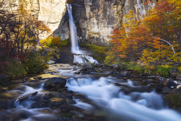 Chorrillo del Salto waterfall framed by autumn trees, El Chalten, Parque Nacional Los Glaciares, Santa Cruz, Patagonia Argentina, Argentina, South America