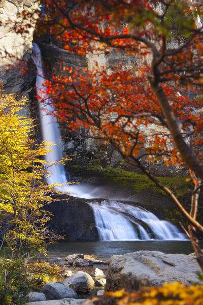 Chorrillo del Salto waterfall framed by autumn trees, El Chalten, Parque Nacional Los Glaciares, Santa Cruz, Patagonia Argentina, Argentina, South America