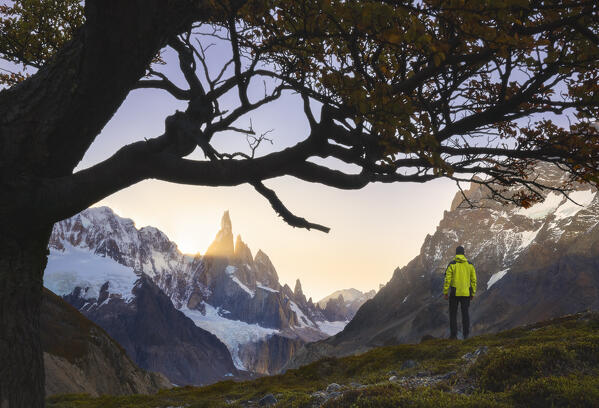 A tourist observes Cerro Torre mountain during sunset on the way to Laguna Torre, El Chalten, Parque Nacional Los Glaciares, Santa Cruz, Patagonia Argentina, Argentina, South America(MR)