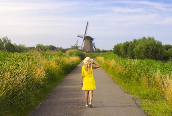 A tourist walks in front of a windmill in Kinderdijk, Molenlanden, Netherlands, South Holland, Western Europe