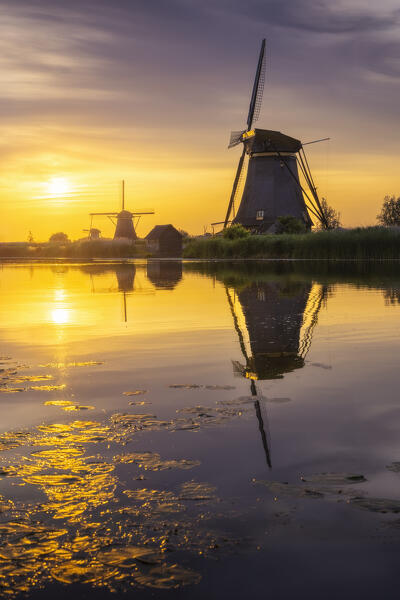 A group of windmills in Kinderdijk during sunset in summer, Molenlanden, Netherlands, South Holland, Western Europe