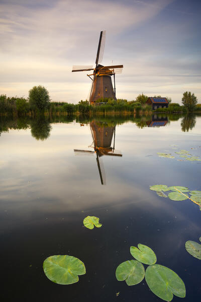 A windmill in Kinderdijk during sunset in summer, Molenlanden, Netherlands, South Holland, Western Europe
