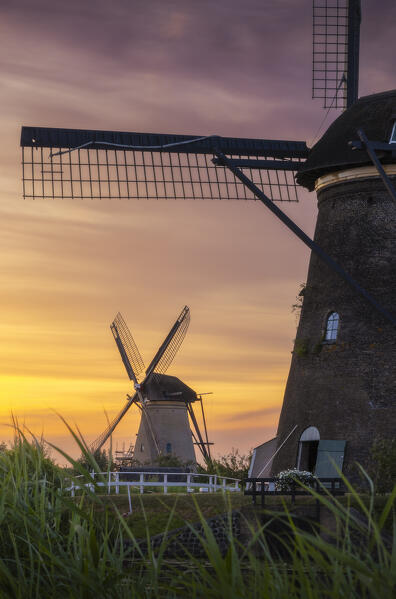 A group of windmills in Kinderdijk during sunset in summer, Molenlanden, Netherlands, South Holland, Western Europe