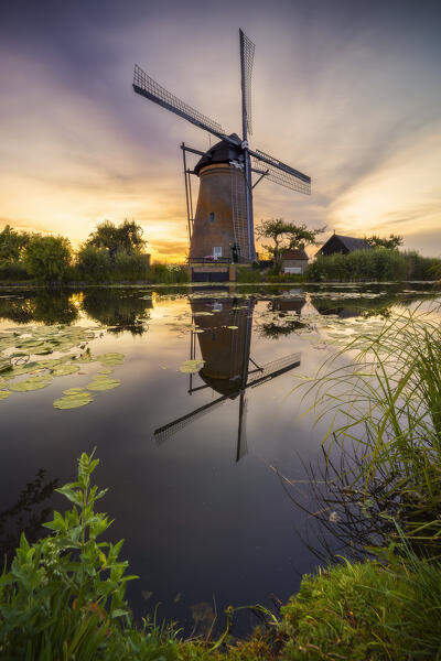 A windmill in Kinderdijk during sunset in summer, Molenlanden, Netherlands, South Holland, Western Europe