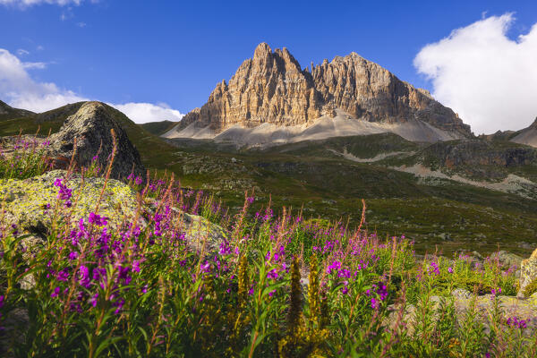 View of Grand Serù at sunset during summer, Provence Alps Cote d’Azur, Haute Alps, Vallee Etroite, France, Europe