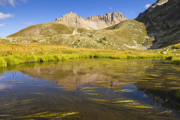 Pointe de l’enfourant reflected in a small lake during summer, Provence Alps Cote d’Azur, Haute Alps, Vallee Etroite, France, Europe
