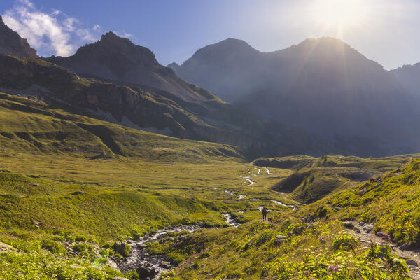 A hiker walks along a path in Vallee Etroite at sunrise during summer, Provence Alps Cote d’Azur, Haute Alps, Vallee Etroite, France, Europe