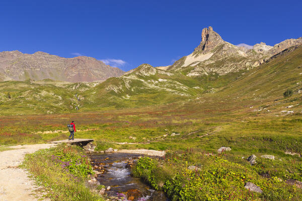 A hiker walks along a path in Vallee Etroite at sunrise during summer with Grand Adret in fromt of him, Provence Alps Cote d’Azur, Haute Alps, Vallee Etroite, France, Europe