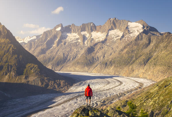 A trekker observes Aletschhorn and Aletsch glacier from Moosfluh viewpoint during summer, Riederalp, Canton of Valais, Oriental Raron, Switzerland, Western Europe
