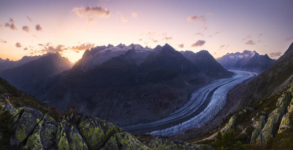 Panoramic view of Aletsch glacier at dusk from Moosfluh viewpoint in summer, Riederalp, Canton of Valais, Oriental Raron, Switzerland, Western Europe