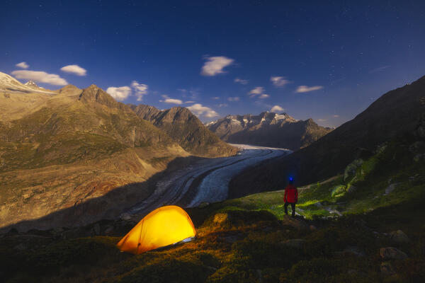 A trekker with his illuminated tent observes Aletsch Glacier under a starry sky in summer, Riederalp, Canton of Valais, Oriental Raron, Switzerland, Western Europe