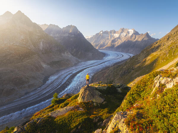 Aerial view of a trekker while observing Aletschhorn and Aletsch glacier from Moosfluh viewpoint during summer at sunset, Riederalp, Canton of Valais, Oriental Raron, Switzerland, Western Europe