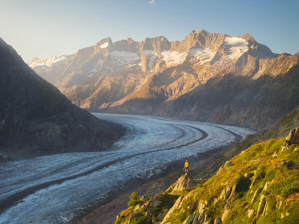 Aerial view of a trekker while observing Aletschhorn and Aletsch glacier from Moosfluh viewpoint during summer at sunset, Riederalp, Canton of Valais, Oriental Raron, Switzerland, Western Europe
