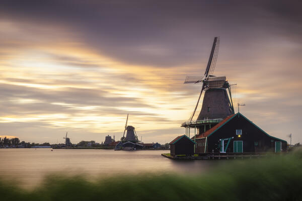 Windmills of Zaanse Schans during sunset in summer, Zaandam, Zaanstad, Netherlands, North Holland, Western Europe