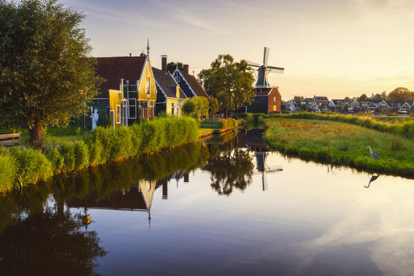 Windmills and typical houses in Zaanse Schans during sunset in summer, Zaandam, Zaanstad, Netherlands, North Holland, Western Europe