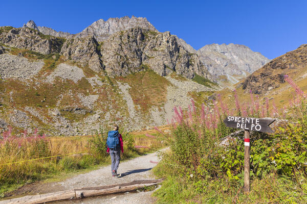 A trekker at the source of the Po river surrounded by mountains, Pian del Re, Crissolo, Cuneo, Piedmont, Italy, Southern Europe