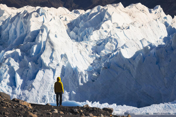 A tourist observes glacier front of Perito Moreno, Parque Nacional Los Glaciares, El Calafate, Santa Cruz, chilean antarctica region, Patagonia Argentina, Argentina, South America