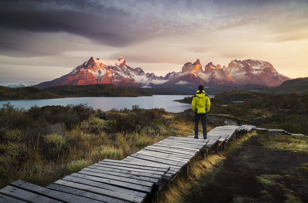 A tourist observes Lake Pehoe and Cuernos del Paine in the background during sunrise, Torres del Paine NP, Ultima Esperanza, Region de Magallanes y de la Antartica Chilena, Patagonia, Chile, South America (MR)