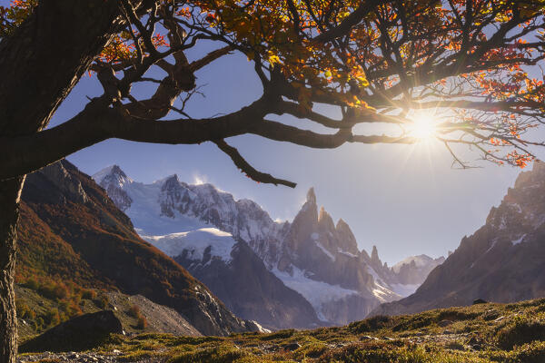 Cerro Torre mountain framed by autumn trees during sunset on the way to Laguna Torre, El Chalten, Parque Nacional Los Glaciares, Santa Cruz, Patagonia Argentina, Argentina, South America