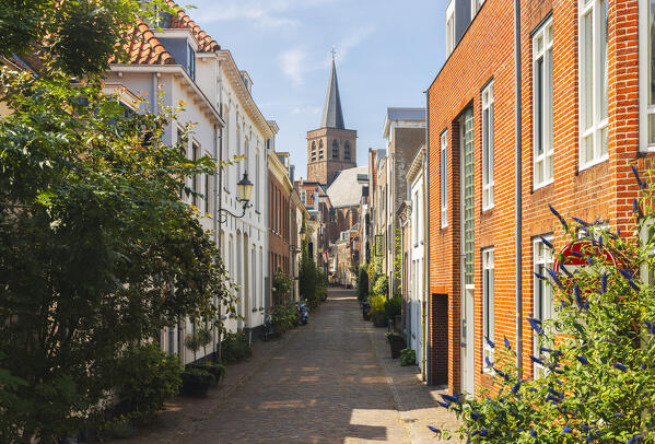 View of the tower of St. George's Church and houses in Amersfoort during summer, Amersfoort, Netherlands, Utrecht, Western Europe