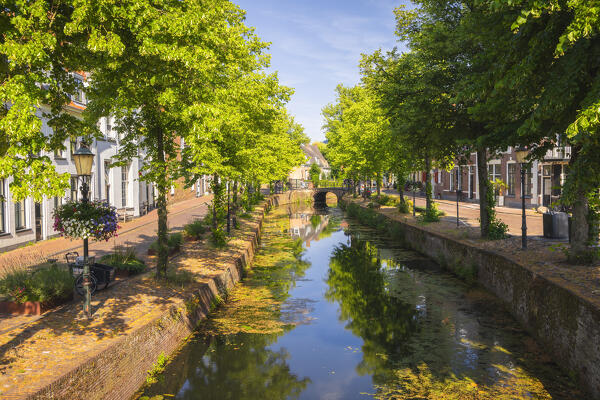 Street and canal of Amersfoort during summer, Amersfoort, Netherlands, Utrecht, Western Europe