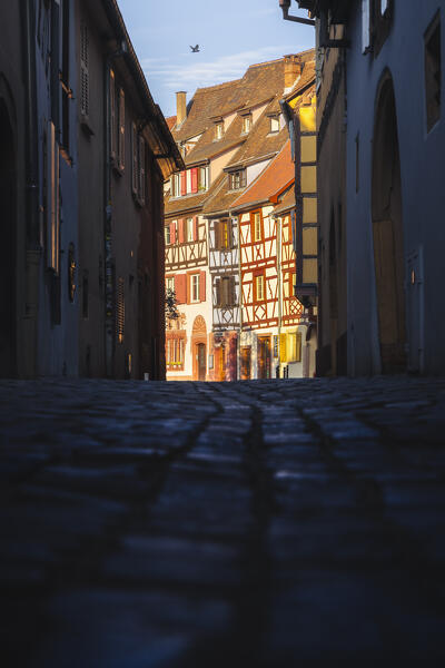 View of Little Venice of Colmar with its typical houses during summer at sunset, Colmar, Alsace, Grand Est, Upper Rhine, France, Europe