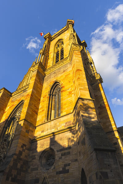 Tower of Collegiate Church of San Martino during summer at sunset, Colmar, Alsace, Grand Est, Upper Rhine, France, Europe