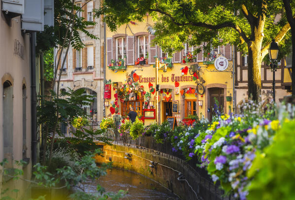 View of Little Venice of Colmar during summer at sunset, Colmar, Alsace, Grand Est, Upper Rhine, France, Europe