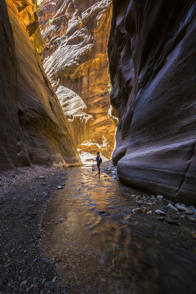 A girl in the Narrows, Zion National Park, Utah, Notrh America, USA
