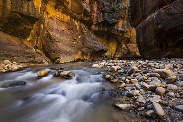 Virgin River in the Narrows, Zion National Park, Utah, Notrh America, USA