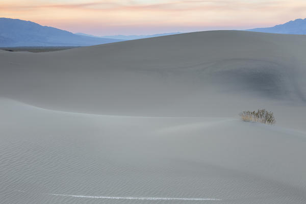 Mesquite Flat Sand Dunes at sunset, Death Valley National Park, California, North America, USA