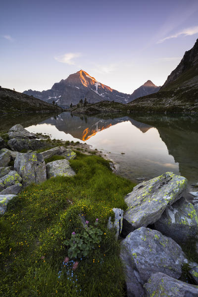 Monte Leone at sunset, Parco Naturale dell'Alpe Veglia e dell'Alpe Devero, Verbano Cusio Ossola, Piemonte, Italy, Southern Europe