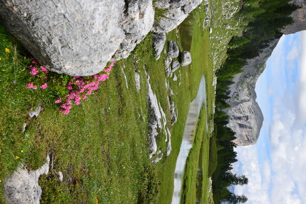 View of Fanes Plateau near Passo Tadega and Malga Fanes Grande, Dolomites, Bolzano province, Trentino Alto Adige, Italy.