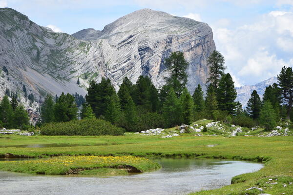 Alpe of Fanes Grande near Passo Tadega and Malga Fanes Grande, Dolomites, Bolzano province, Trentino Alto Adige, Italy.