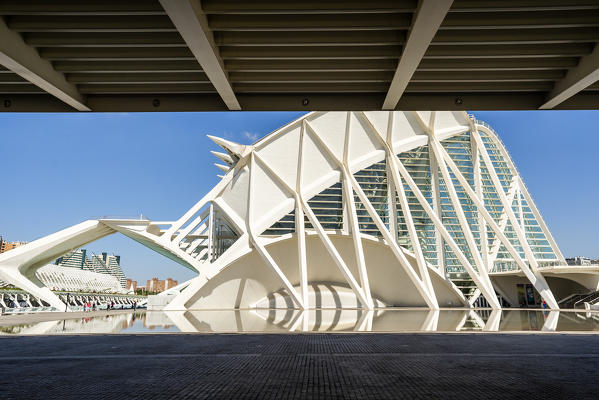Valencia, Spain, Europe. View of the Museo de las Ciencias Principe Felipe 