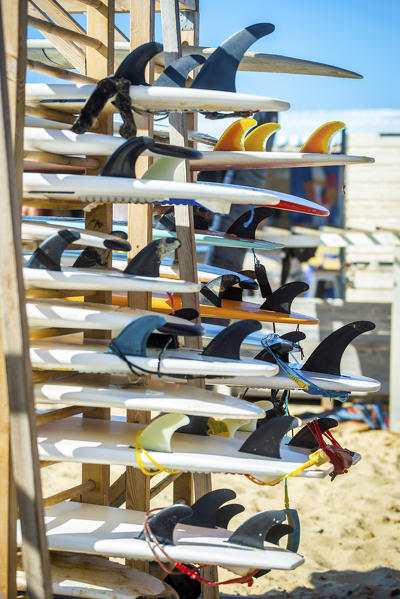 Biscarrosse, Landes, Nouvelle-Aquitaine, France, Europe. Detail of surfboards in a surf shop