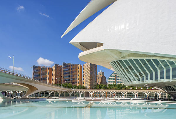 Valencia, Spain, Europe. Detail of the Palau de les arts Reina Sofía