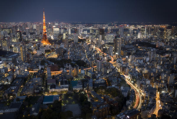 Tokyo by night with tokyo tower, Tokyo, Japan